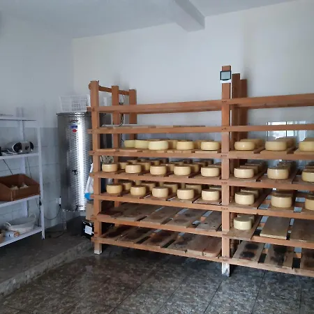 Apartment Pag 16100a Pag Town