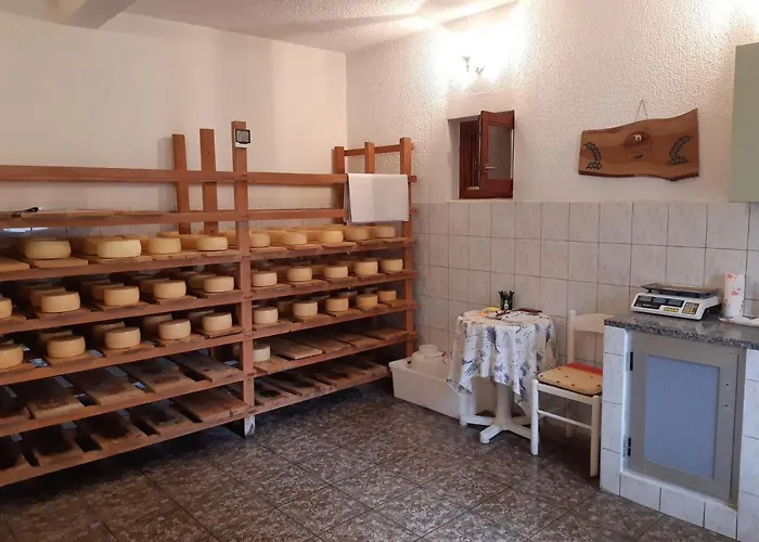 Pag 16100a Apartment